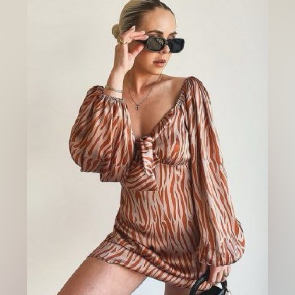Boohoo Zebra Print Mini Dress - Picture 1 of 6